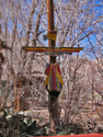 Totem Pole/IMG_2307_th